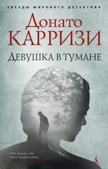 постер аудиокниги Девушка в тумане