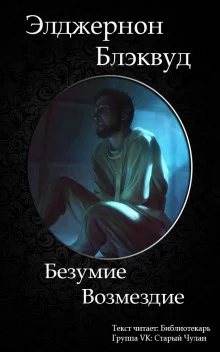 постер аудиокниги Безумие