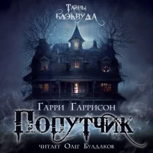 постер аудиокниги Попутчик