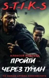 постер аудиокниги Пройти через туман. Книга 1 - Алексей Елисеев