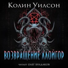 постер аудиокниги Возвращение ллойгор
