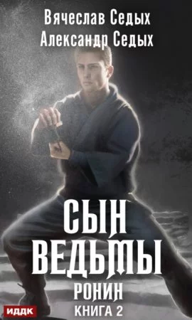 постер аудиокниги Сын ведьмы 2. Ронин