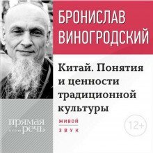 постер аудиокниги Китайский взгляд