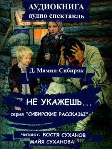 постер аудиокниги Не укажешь…
