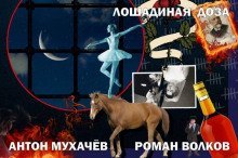 постер аудиокниги Лошадиная доза