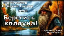 постер аудиокниги Берегись колдуна!