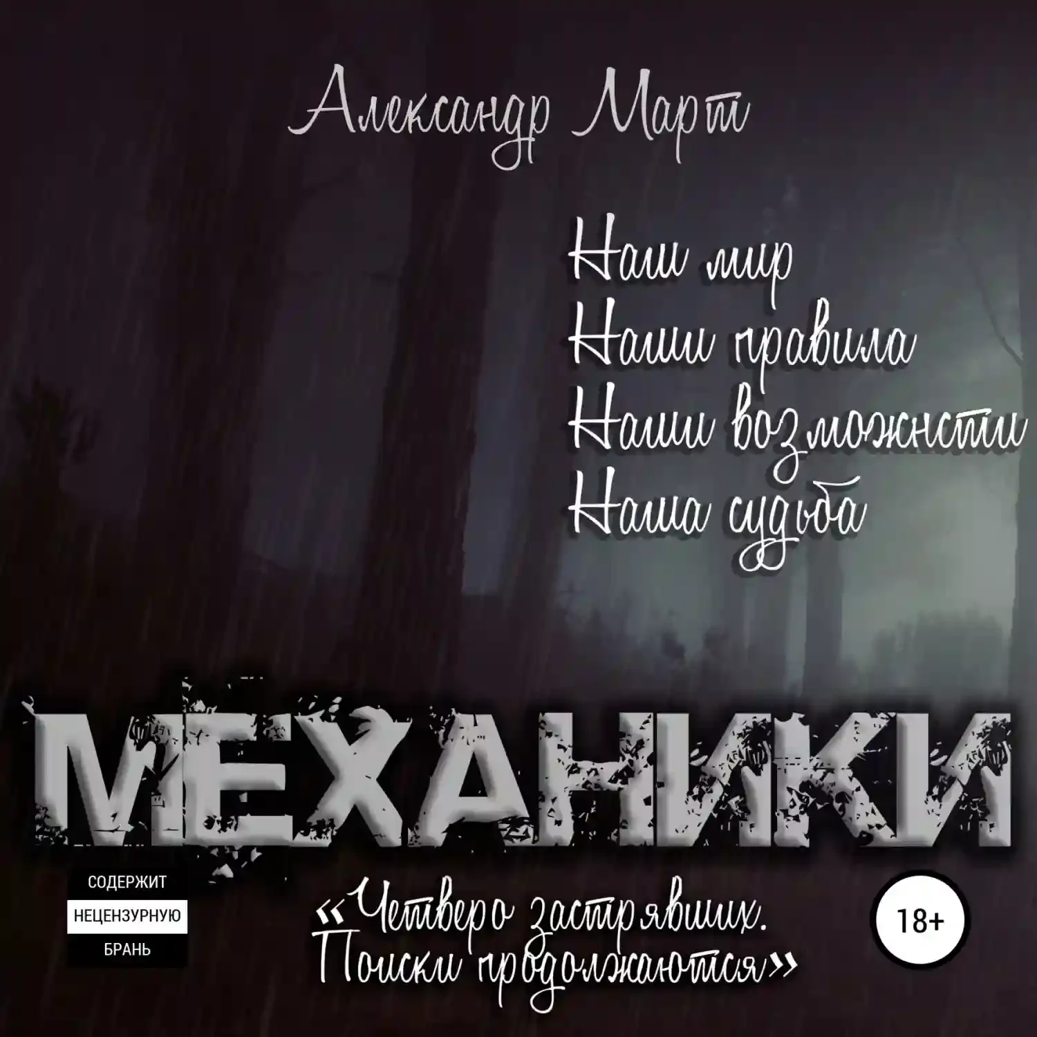 постер аудиокниги Четверо застрявших. Поиски продолжаются