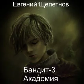 постер аудиокниги Пётр Синельников 3. Бандит 3. Академия - Евгений Щепетнов