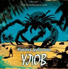 постер аудиокниги Улов - Дубровин Никита