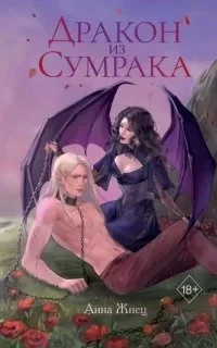 постер аудиокниги Дракон из сумрака - Анна Жнец