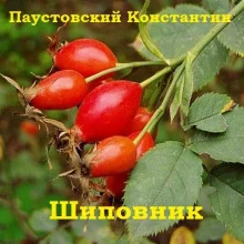 постер аудиокниги Шиповник