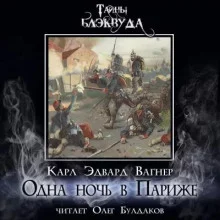 постер аудиокниги Одна ночь в Париже