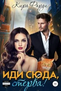 постер аудиокниги Иди сюда, Стерва! - Кира Фарди