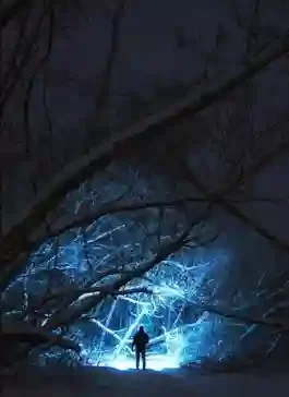 постер аудиокниги Ночевка