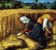 постер аудиокниги Жаноти