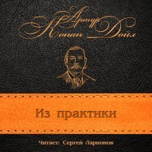 постер аудиокниги Из практики