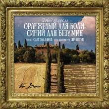 постер аудиокниги Оранжевый для боли, синий для безумия