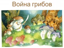 постер аудиокниги Война грибов