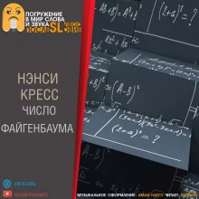 постер аудиокниги Число Файгенбаума
