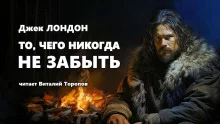 постер аудиокниги То, чего никогда не забыть