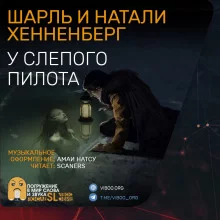 постер аудиокниги «У слепого пилота»