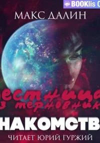 постер аудиокниги Лестница из Терновника 1. Знакомство - Макс Далин