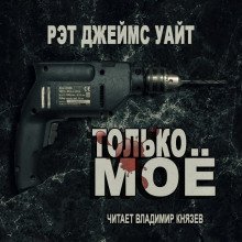 постер аудиокниги Только моё