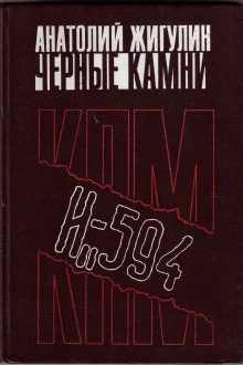постер аудиокниги Чёрные камни