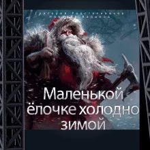 постер аудиокниги Маленькой ёлочке холодно зимой