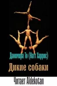 постер аудиокниги Дикие собаки - Данимира То