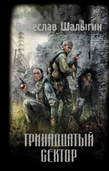 постер аудиокниги Тринадцатый сектор (S.T.A.L.K.E.R.)