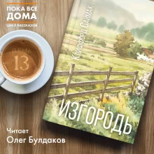 постер аудиокниги Изгородь