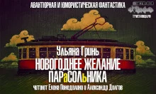 постер аудиокниги Новогоднее желание парасольника