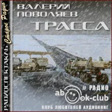 постер аудиокниги Трасса