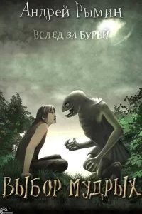 Вслед за Бурей 3. Выбор мудрых - Андрей Рымин