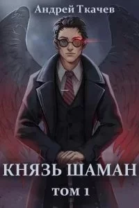 постер аудиокниги Князь шаман. Книга 1 - Андрей Ткачев