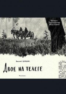 постер аудиокниги Двое на телеге