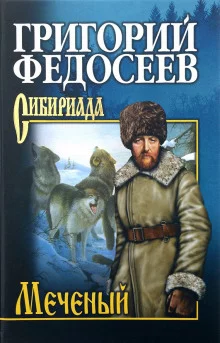 постер аудиокниги Поиск