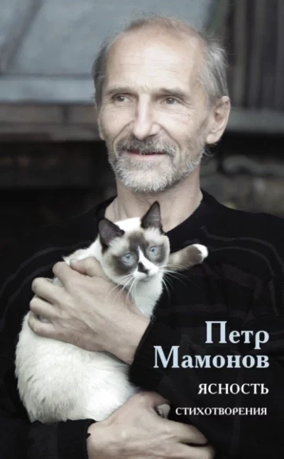 постер аудиокниги Ясность - Мамонов Петр