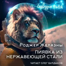 постер аудиокниги Пиявка из нержавеющей стали