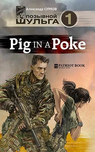 постер аудиокниги Pig In A Poke - Александр Сурков