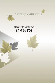 постер аудиокниги Проникновение света