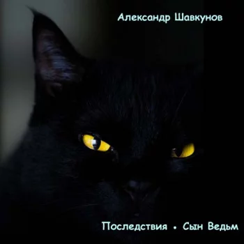 постер аудиокниги Последствия. Сын Ведьм - Шавкунов Александр