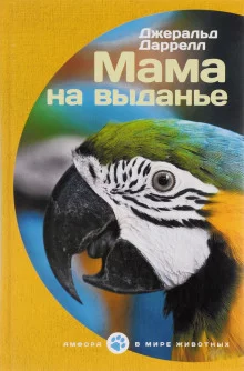 постер аудиокниги Мама на выданье. Рассказы