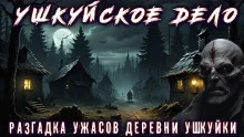 постер аудиокниги Ушкуйская тайна