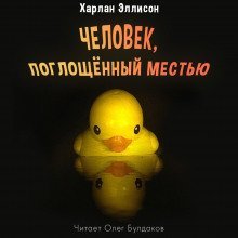 постер аудиокниги Человек, поглощенный местью