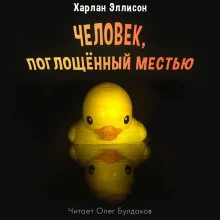 постер аудиокниги Человек, поглощенный местью