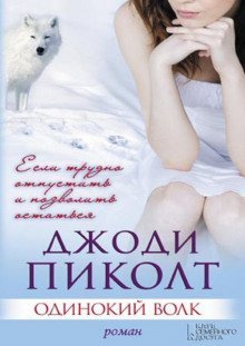 постер аудиокниги Одинокий волк
