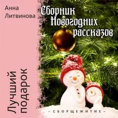 постер аудиокниги Лучший подарок - Анна Литвинова