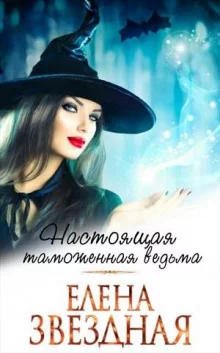 постер аудиокниги Московский ведьминский таможенно-пропускной пункт
